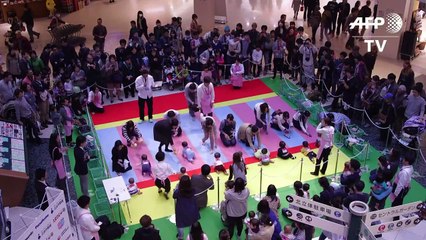 Récord en carrera de gateo