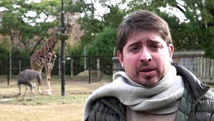Zoológico de Buenos Aires cierra para convertirse en ecoparque