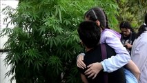 Colombia legaliza la marihuana medicinal