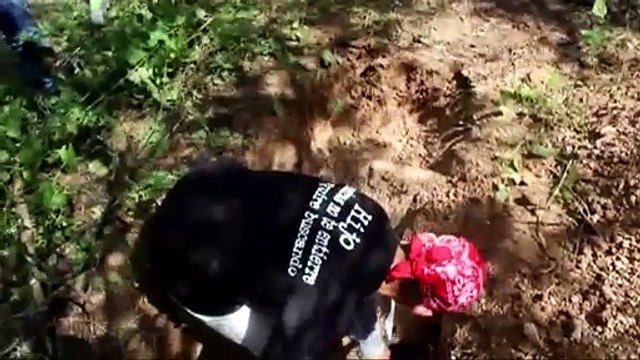 16 muertos en tiroteos y hallazgo de fosa común en México