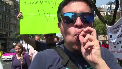 México autoriza uso recreativo de marihuana a 4 activistas