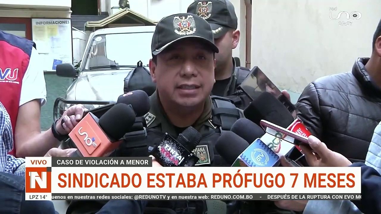 7 meses