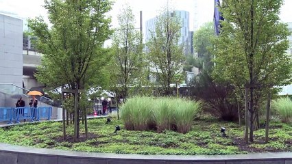 UE acepta reubicación de 120.000 refugiados