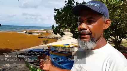 Sargazo en Santo Domingo