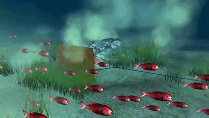 La pesca en aguas profundas