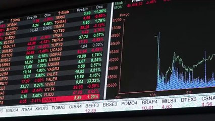 "El gobierno está paralizado y Brasil está cayendo en picado”