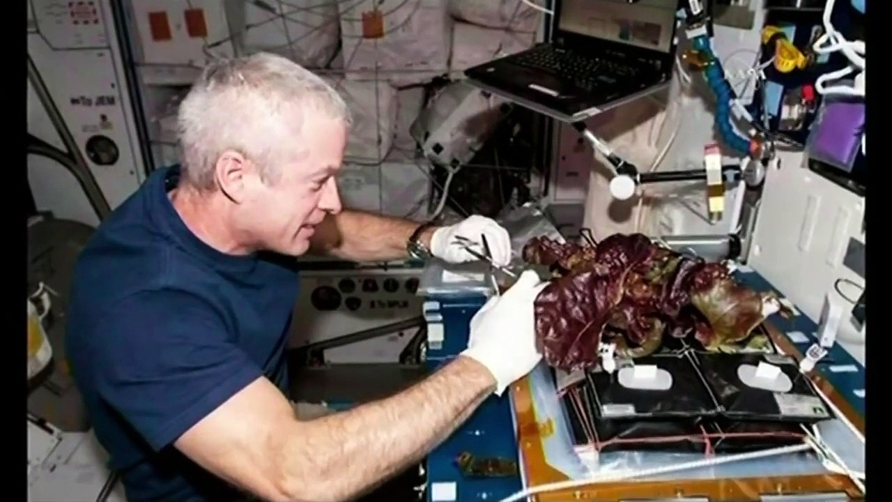 La lechuga espacial