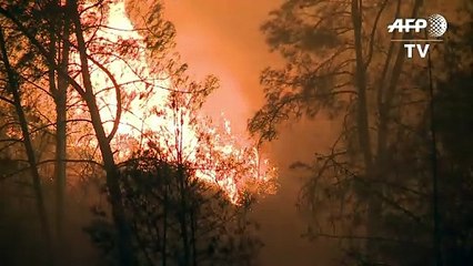 Doce incendios activos en California