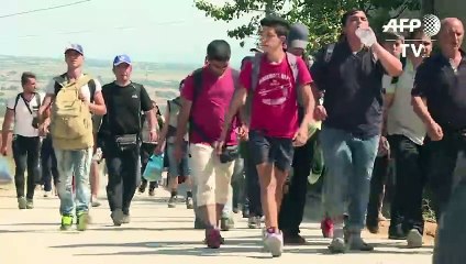 Miles de migrantes cruzan Serbia