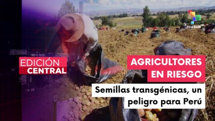 Uso de semillas transgénicas en Perú pondría en riesgo la biodiversidad