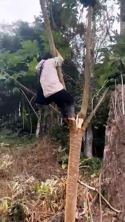 Melihat kejadiannya secara langsung