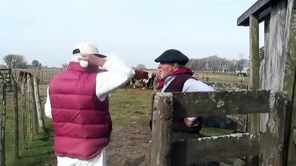 Argentina volverá a exportar carne a EEUU