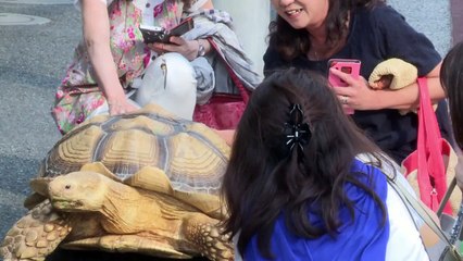 Bolivia se prepara para la llegada del Papa