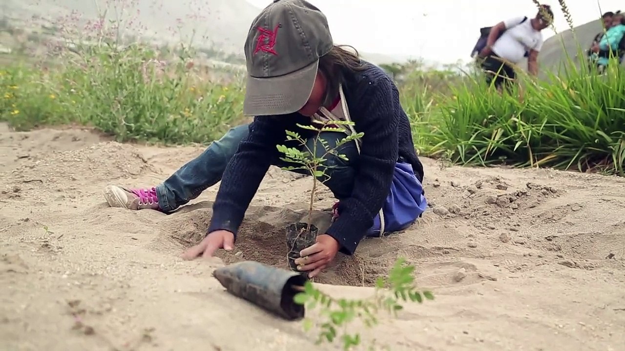 Ecuador busca el récord Guinness de reforestación