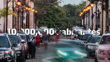 Los ignorados