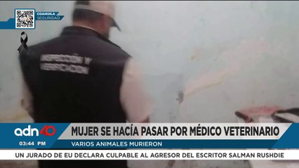 Falsa mujer veterinaria provoca la muerte de varios animales en Torreón, Coahuila