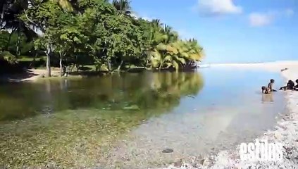 Los patos, Barahona