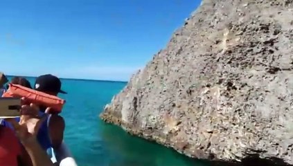 Bahía de las Águilas cuenta con arrecifes coralinos
