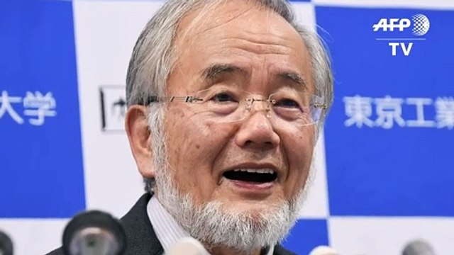 Nobel de Medicina para japonés especializado en autofagia