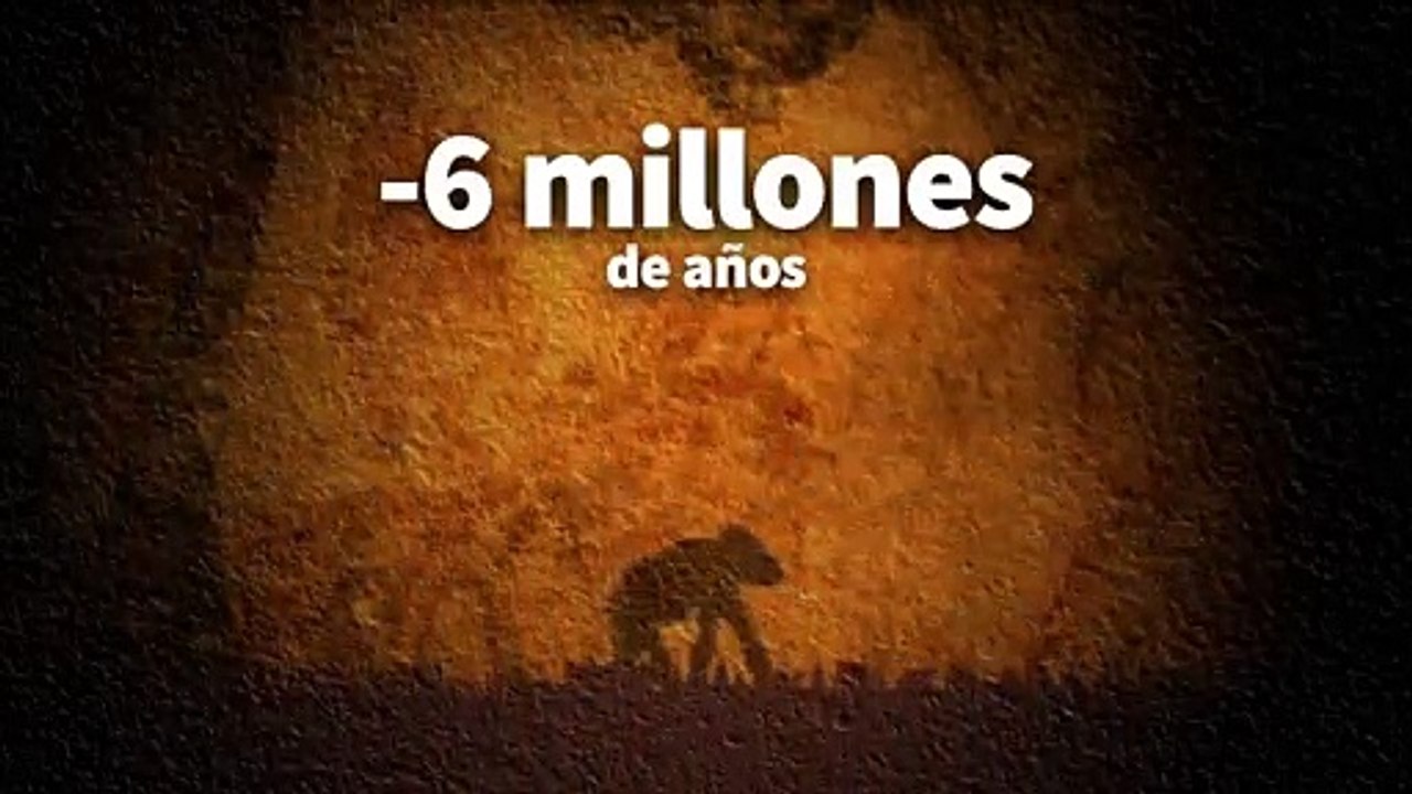 Las etapas de la evolución de los humanos