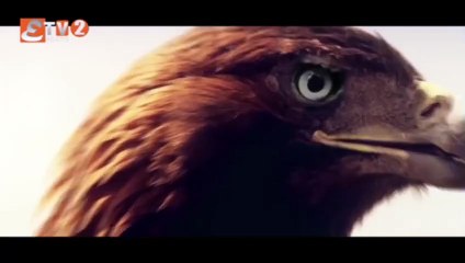 Alp Arsalan Season 1 Episode 130 Urdu Hindi Dubbed Etv facts Join Telegram Channel Type "ATV Searial Official "