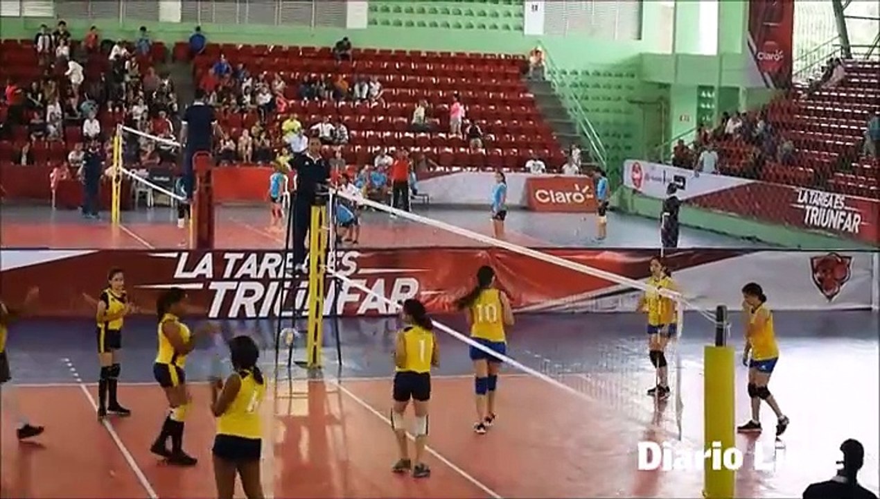 volleyball