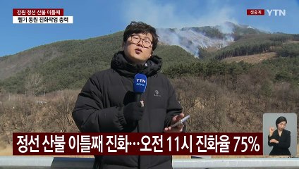 강원 정선 산불 이틀째 진화작업...진화율 75% / YTN