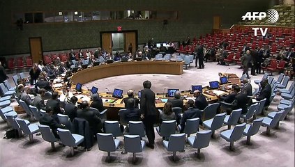 Enviada ONU pide que cascos azules sigan 6 meses más en Haití