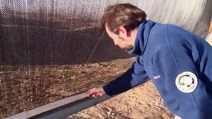 Atacama, el desierto más árido del mundo, bebe agua de niebla