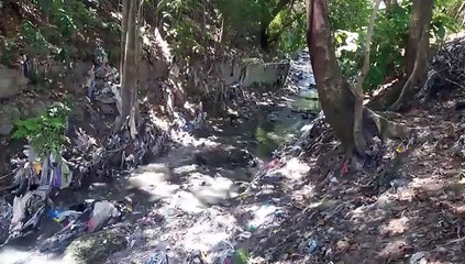 Lo que perdemos por no reciclar