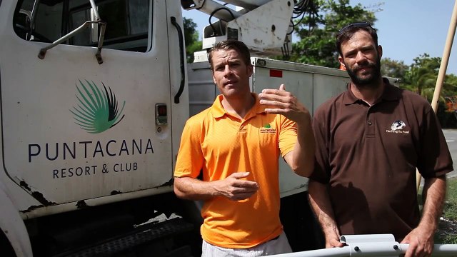 Los gavilanes de Punta Cana