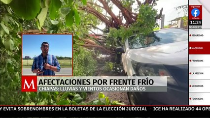 Árbol cae sobre vehículos en Chiapas; frente frío 28 deja afectaciones