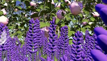 La desaparición de las abejas