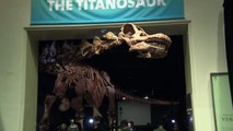 Colosal dinosaurio patagónico en Nueva York