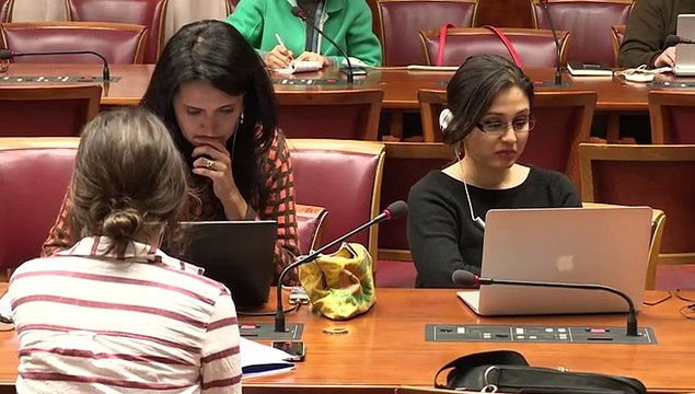 OMS: crecientes indicios de relación entre Zika y microcefalia