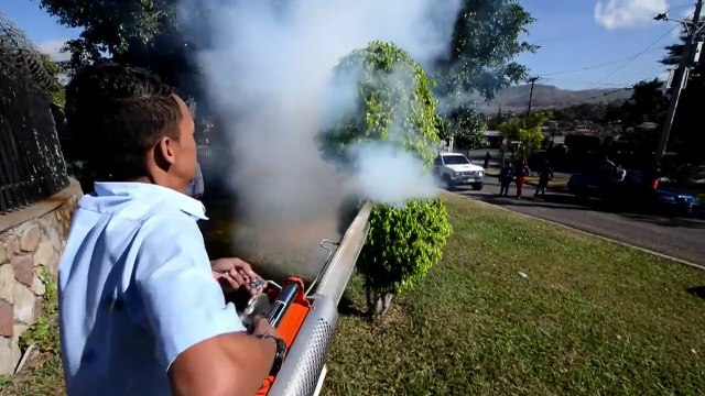 Temor ante el zika y su nexo con microcefalia en bebés