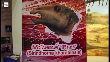 Descubren un nuevo dinosaurio en Tailandia al que conceden nombre de realeza