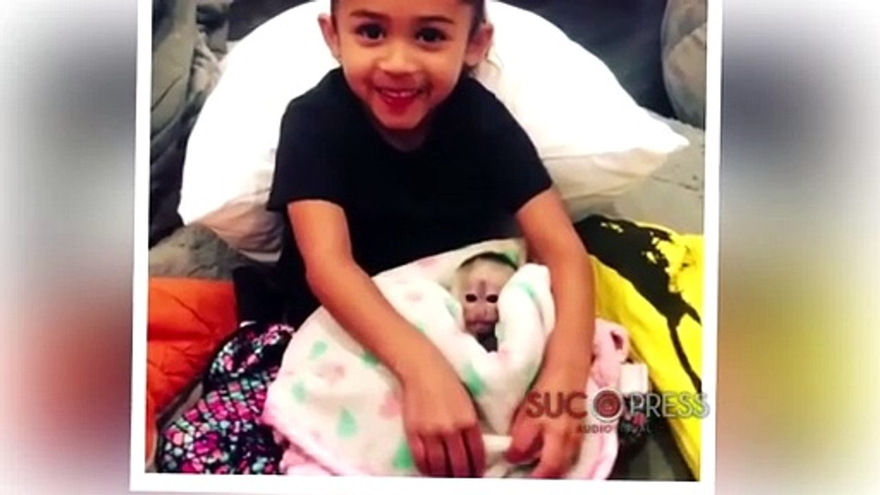 Chris Brown enfurece a sus fans