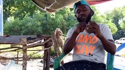 Los Charamicos Navideños