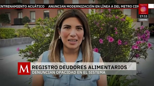 Acusan falta de información en 18 de los 20 Registros Estatales de Deudores Alimentarios en México
