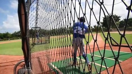 6 Equipos En 6 Días: Los Tigres del Licey
