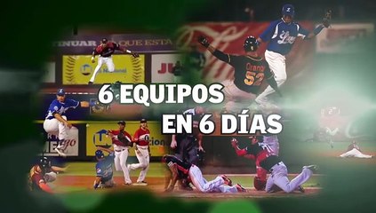 6 Equipos En 6 Días,  Los Toros