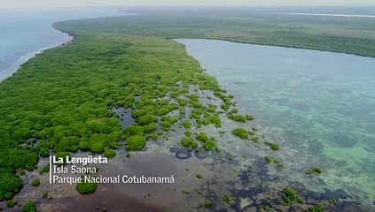 Las Palomas Coronita de Cotubanamá