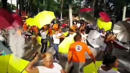 Manifestacion Artisitca en el Parque Enriquillo