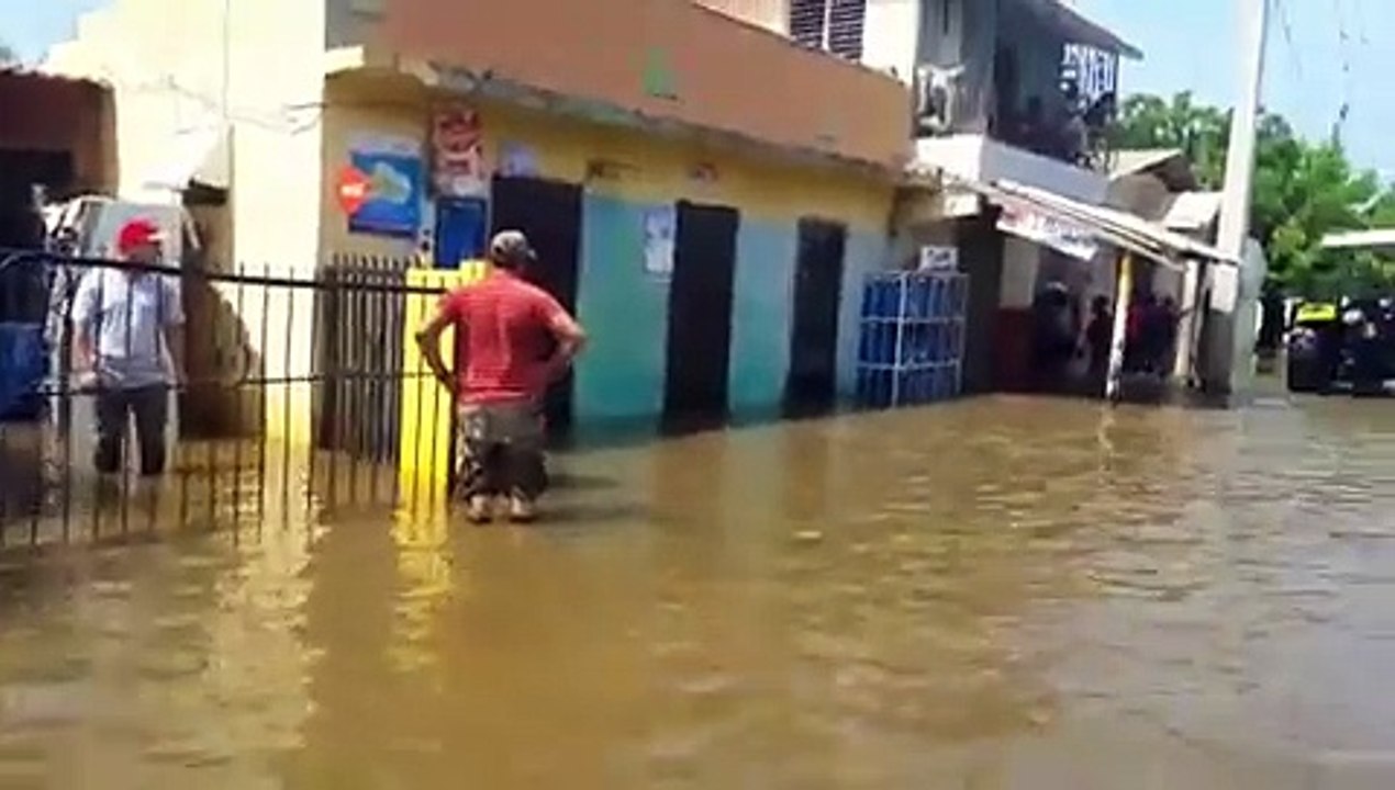 Palo Verde, Montecristi