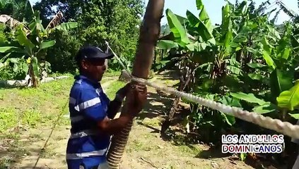 Documental Andullos Dominicanos Listo