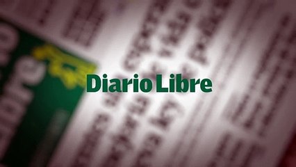 Árbol Derribado Por Los Vientos Del Huracán Irma