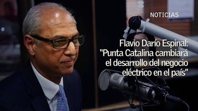 Flavio Darío Espinal: “Punta Catalina cambiará el desarrollo del negocio eléctrico en el país”