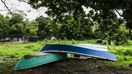 Testimonios de viajeros ilegales