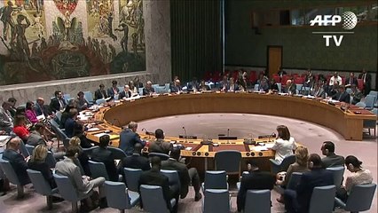 ONU aprueba misión en Colombia para ayudar a reinserción de FARC